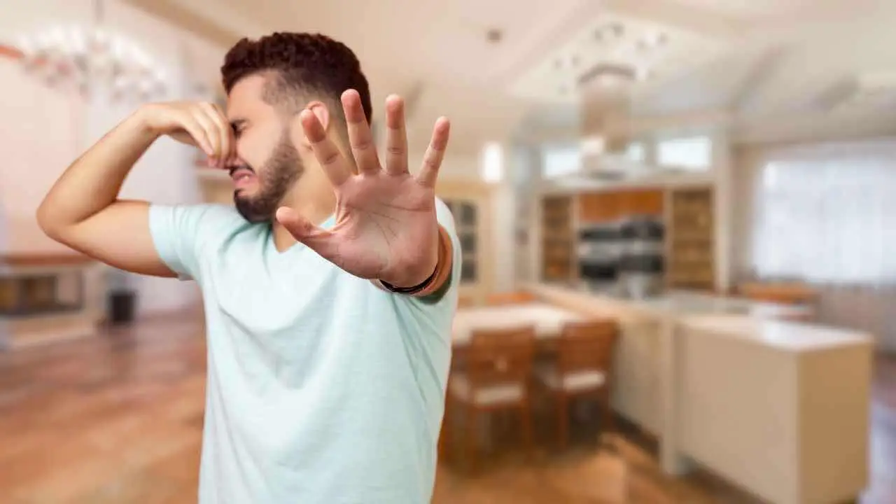 Il metodo più efficace per togliere gli odori sgradevoli in casa: ecco perché funziona sempre