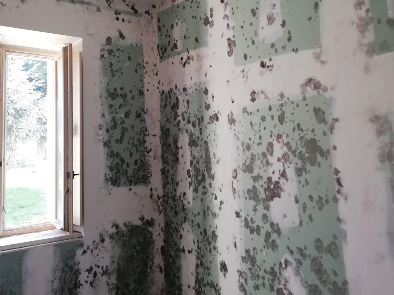 Attenzione all’armadio contro la parete esterna: ecco il trucco per scoprire la muffa nascosta