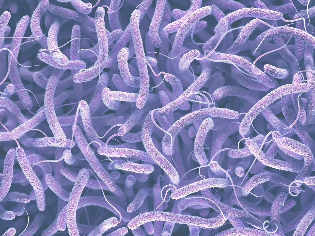 Allarme escherichia coli in casa: ecco come disinfettare superfici e alimenti subito