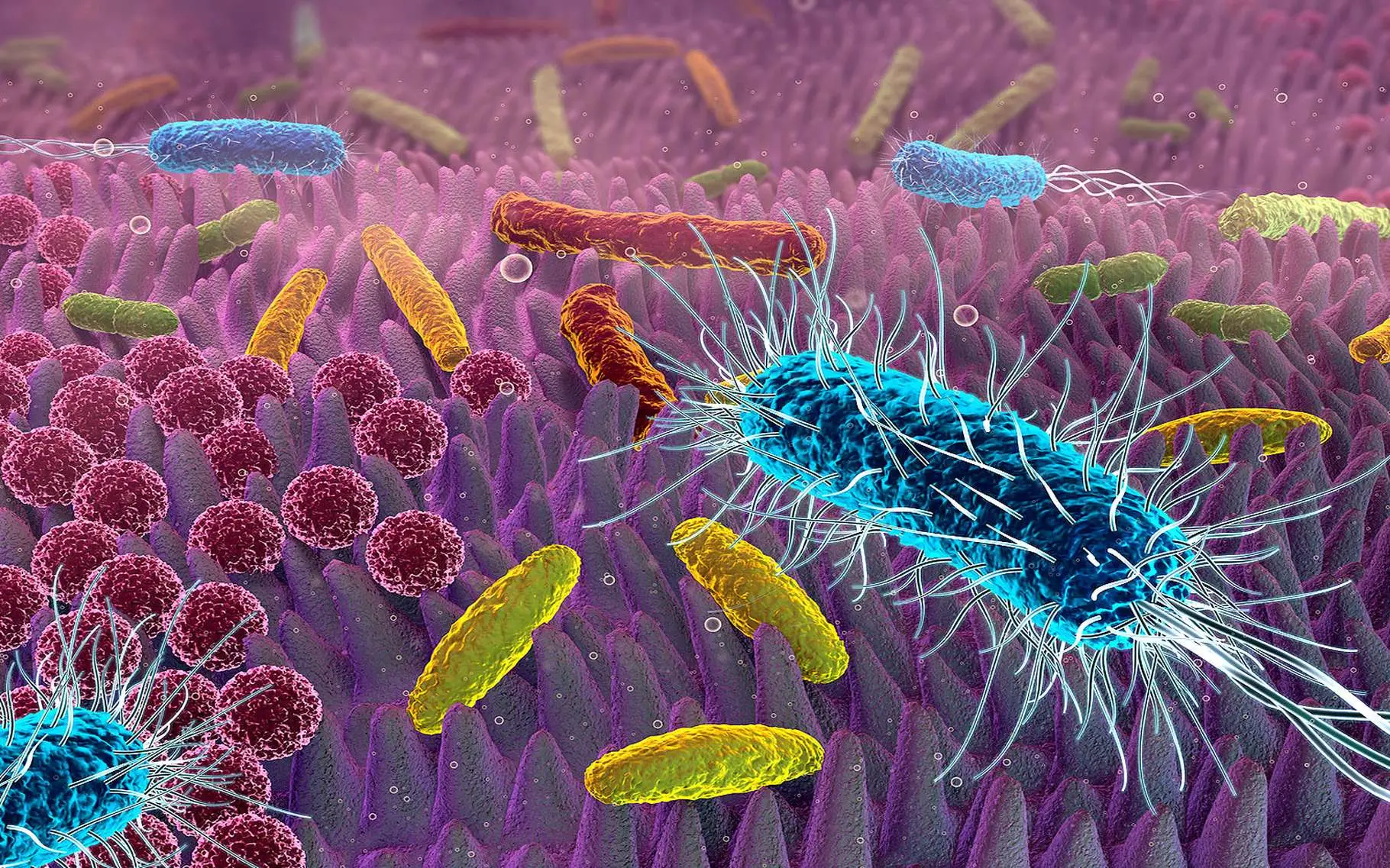 Cosa uccide tutti i batteri? Il metodo definitivo per igienizzare oggetti e superfici